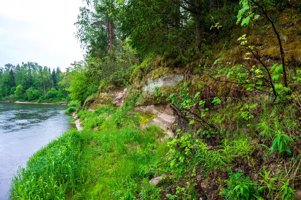 Sandstensklippor Stranden Skogsälv Soliga Sommardag Med Hårda Skuggor Och Träd — Stockfoto