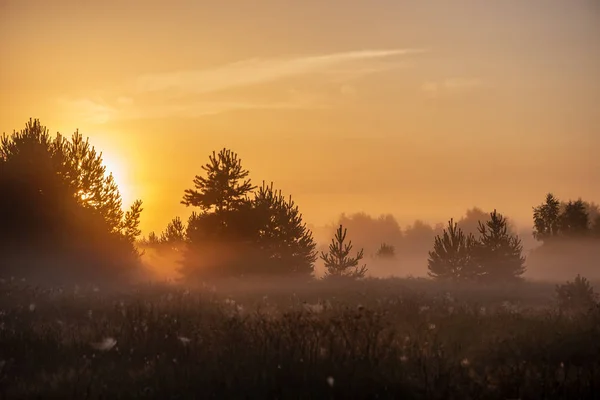 Barevné Východ Západ Slunce Hladině Mlhavého Letního Louce Mlhy Slunce — Stock fotografie