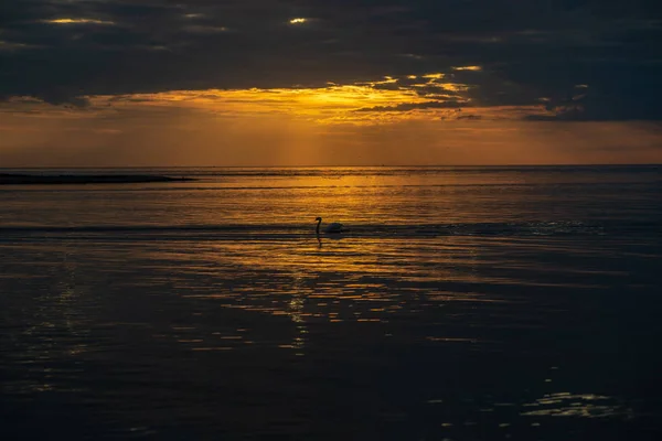 Coucher Soleil Coloré Sur Plage Mer Été Avec Ciel Propre — Photo