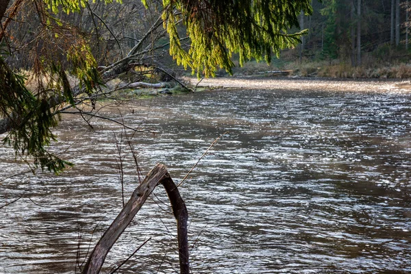 Orman Nehirde Koyu Kahverengi Kumtaşı Kayalıklarla Ile Sonbahar — Stok fotoğraf