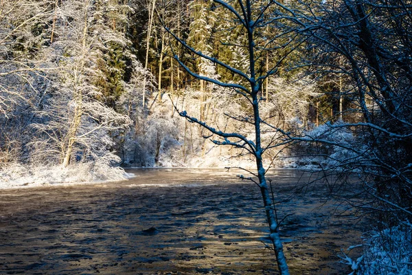 Río Bosque Congelado Invierno Con Acantilados Arenisca Nieve Hielo Día — Foto de Stock