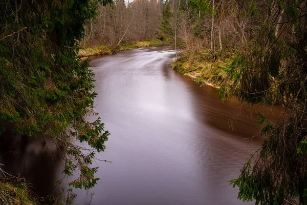 Río Bosque Otoño Con Agua Color Marrón Oscuro Acantilados Arenisca — Foto de Stock