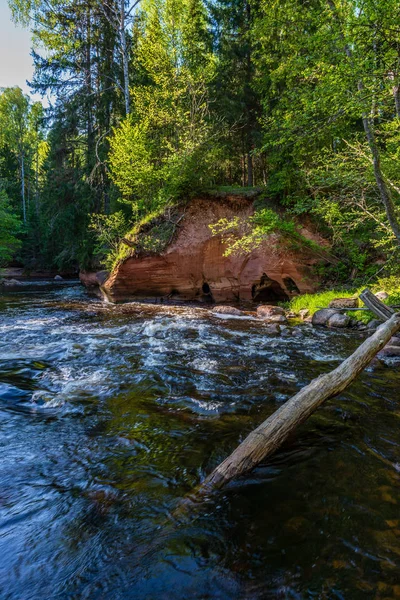 Zandstenen Rotsen Aan Kust Van Bos Rivier Zonnige Zomerdag Met — Stockfoto