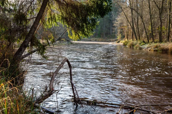 forest river in autumn, with dark brown water and sandstone cliffs