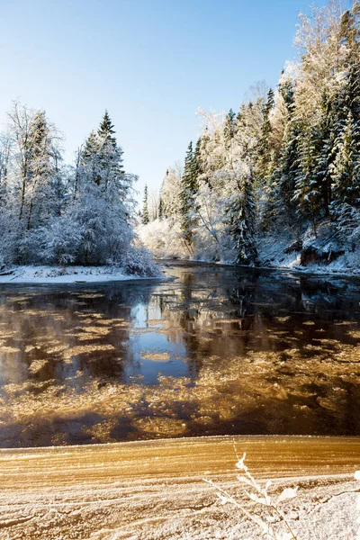 Frozen Forest River Winter Sandstone Cliffs Snow Ice Sunny Day — Stock Photo, Image