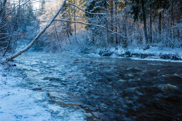 Río Bosque Congelado Invierno Con Acantilados Arenisca Nieve Hielo Día — Foto de Stock