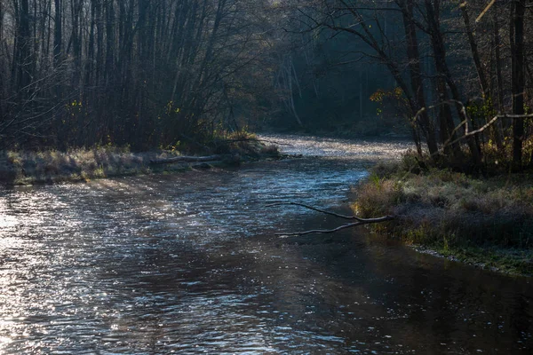 Lesní Řeka Podzim Tmavě Hnědé Vody Pískovcové Skály — Stock fotografie