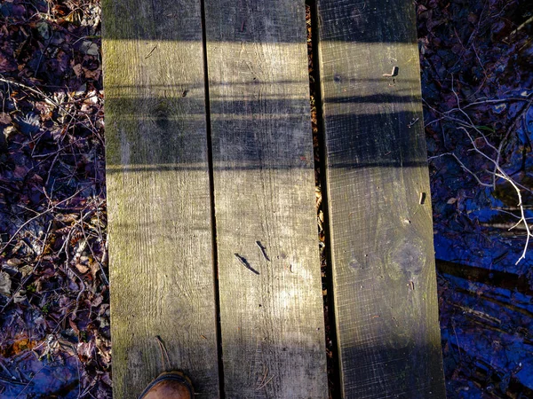 Paseo Marítimo Madera Zona Del Pantano Forestal Otoño Con Árboles —  Fotos de Stock