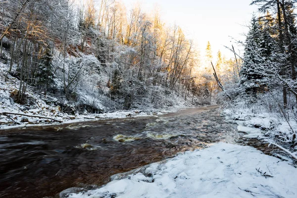 Fiume Foresta Ghiacciata Inverno Con Scogliere Arenaria Neve Ghiaccio Nella — Foto Stock