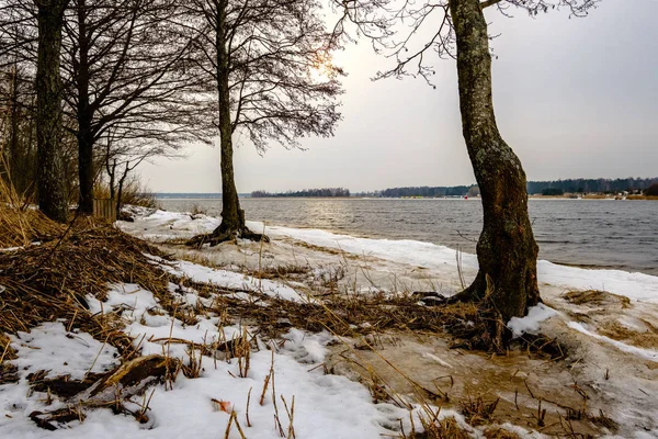 Lód Mrożone Bloki Plaży Zimie Piasku Śniegu Pochmurny Dzień — Zdjęcie stockowe