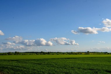 kırsal kesimde yeşil ekili alanlar