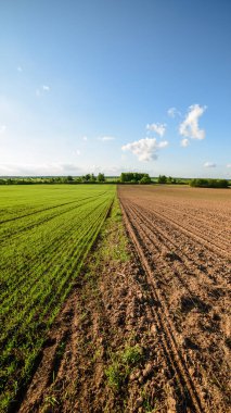 kırsal kesimde yeşil ekili alanlar