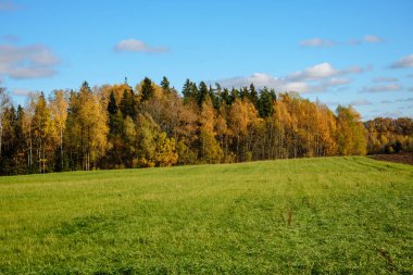 kırsal kesimde yeşil ekili alanlar
