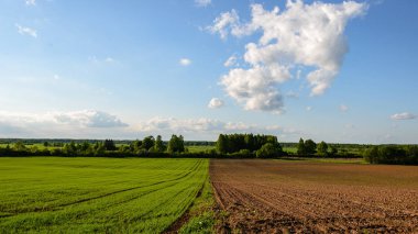 kırsal kesimde yeşil ekili alanlar