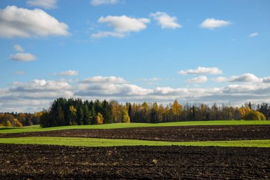 kırsal kesimde yeşil ekili alanlar