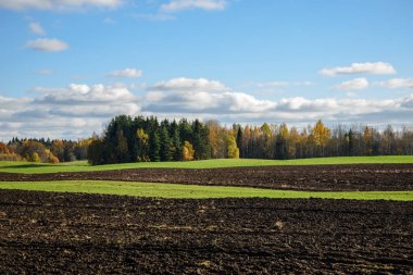kırsal kesimde yeşil ekili alanlar