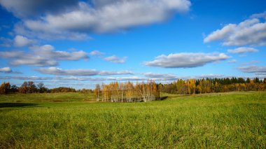 kırsal kesimde yeşil ekili alanlar