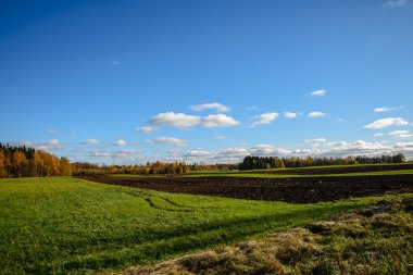 kırsal kesimde yeşil ekili alanlar