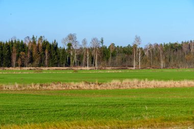 kırsal kesimde yeşil ekili alanlar