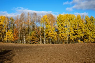 kırsal kesimde yeşil ekili alanlar