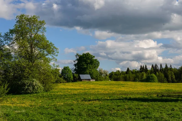 Groene akkers op platteland — Stockfoto