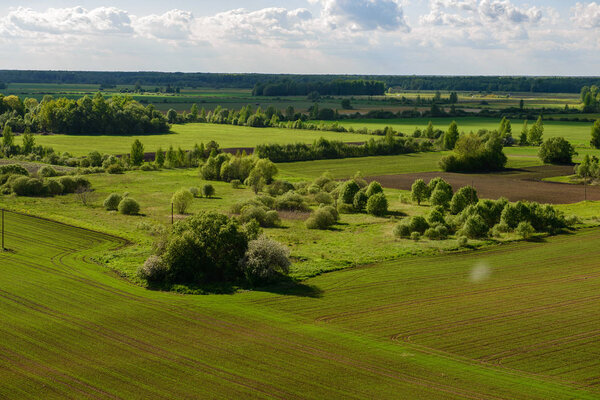 green cultivated fields in countryside