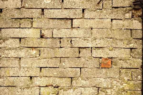 Viejo muro de ladrillo en el campo — Foto de Stock
