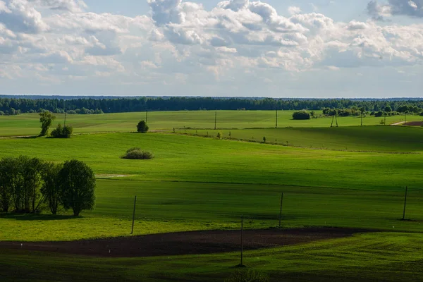 Groene akkers op platteland — Stockfoto