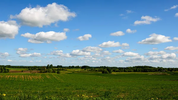 kırsal kesimde yeşil ekili alanlar