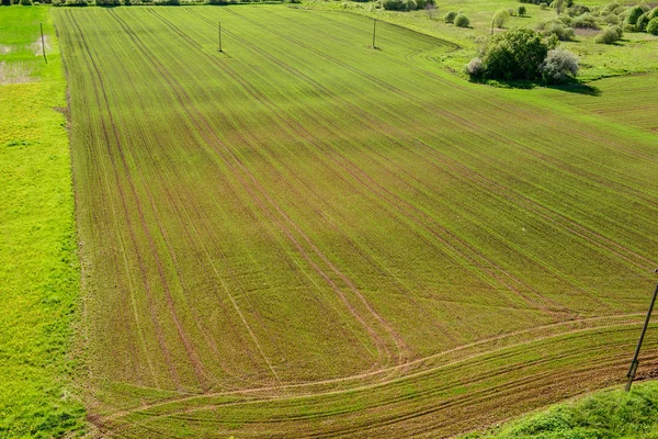 Green cultivated fields in countryside — Stock Photo, Image