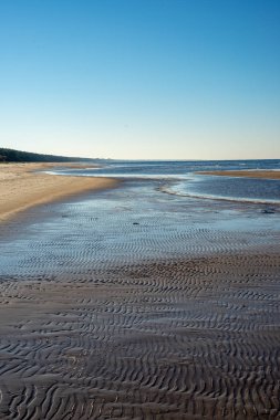 denizin kenarında boş kumlu plaj