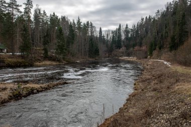 nehir yüzen buz blokları ile kışın Letonya gauja
