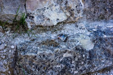 Antik taş Castle detayları bina