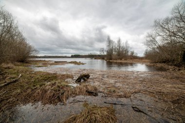 karanlık su ve kirli shore li Letonya, nehir kenarında yatay