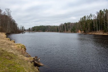 nehir yüzen buz blokları ile kışın Letonya gauja