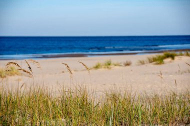denizin kenarında boş kumlu plaj