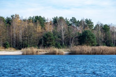 denizin kenarında boş kumlu plaj