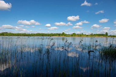 Yaz zekâ gölde kırsal mavi gökyüzü ve bulut yansımalar