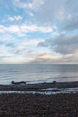 denizin kenarında boş kumlu plaj