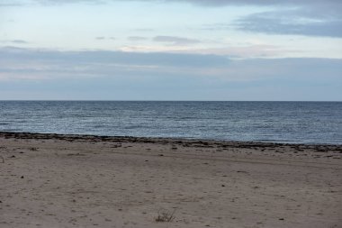 denizin kenarında boş kumlu plaj