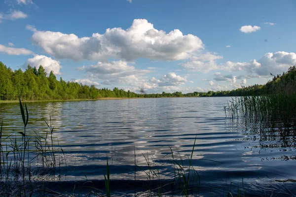 Ciel bleu et reflets de nuages dans le lac de campagne en été esprit — Photo