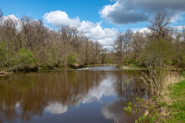 Paisaje junto al río en latvia con agua oscura y costa sucia li —  Fotos de Stock