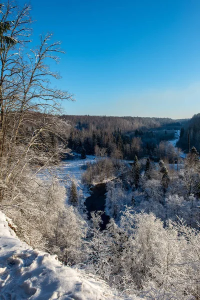 Fryst vinterlandskap med skogar och fält som är täckt av snö — Stockfoto