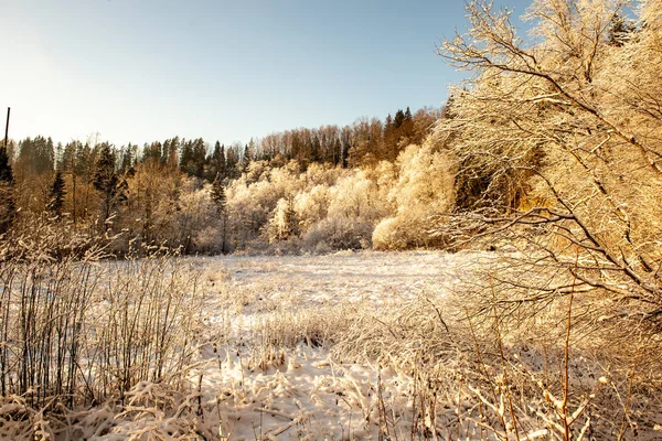 Paesaggio invernale ghiacciato con boschi e campi coperti di neve — Foto Stock