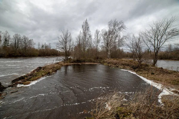 Paisaje junto al río en latvia con agua oscura y costa sucia li —  Fotos de Stock