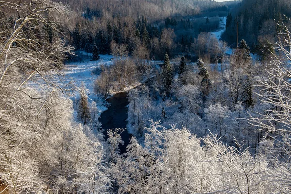 Paysage hivernal gelé avec forêts et champs couverts de neige — Photo