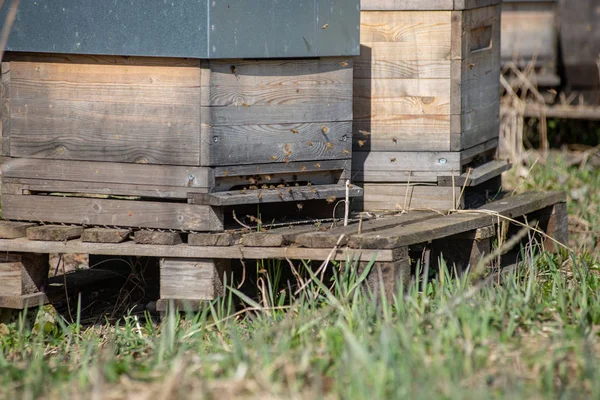 bee keeping inventory, bee houses