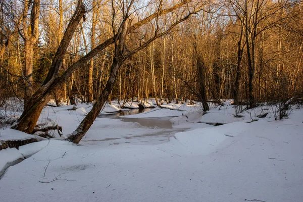Río de gauja en latvia en invierno con bloques de hielo flotantes — Foto de Stock