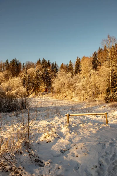 Замерзший зимний пейзаж с покрытыми снегом лесами и полями — стоковое фото