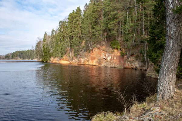 Sungai gauja di latvia di musim dingin dengan balok es mengambang — Stok Foto